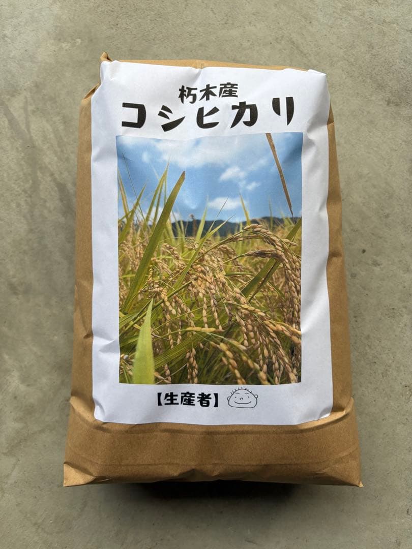 令和7年 新米 コシヒカリ10kg玄米