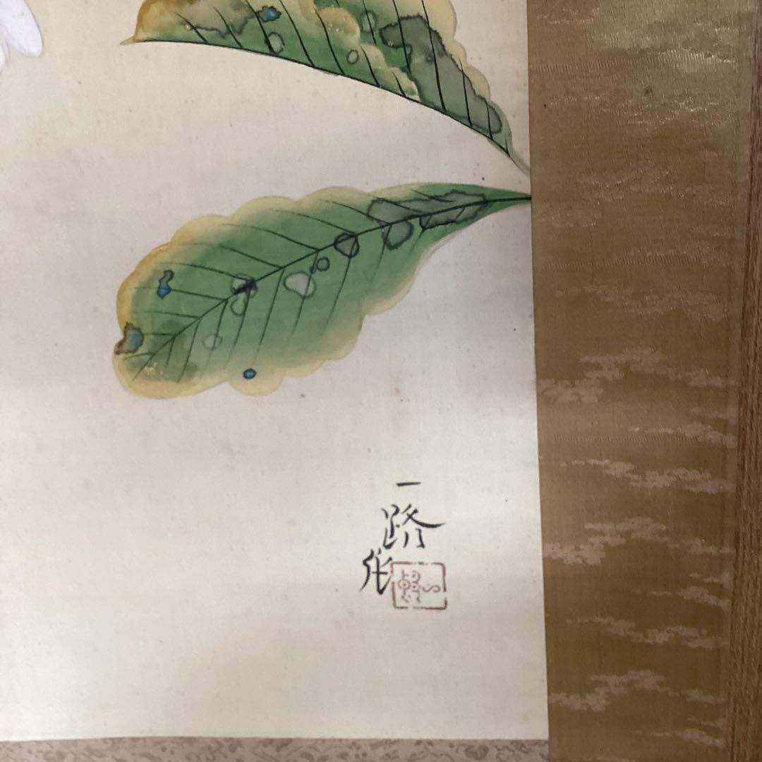 武田一路筆　彩色花鳥画　【　銀　鳩　図　】　肉筆　自題箱　　絹本掛軸一幅　509