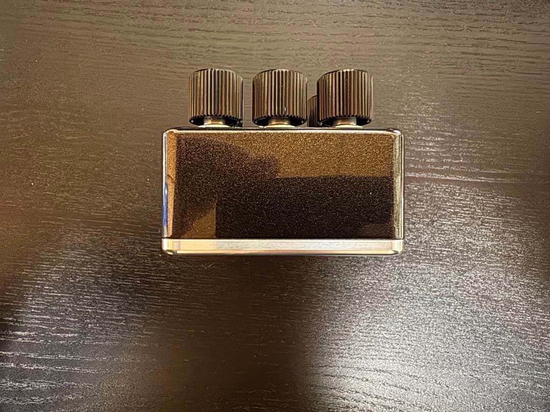 【試し弾きのみ】SOUNDFROG Berial S Berials