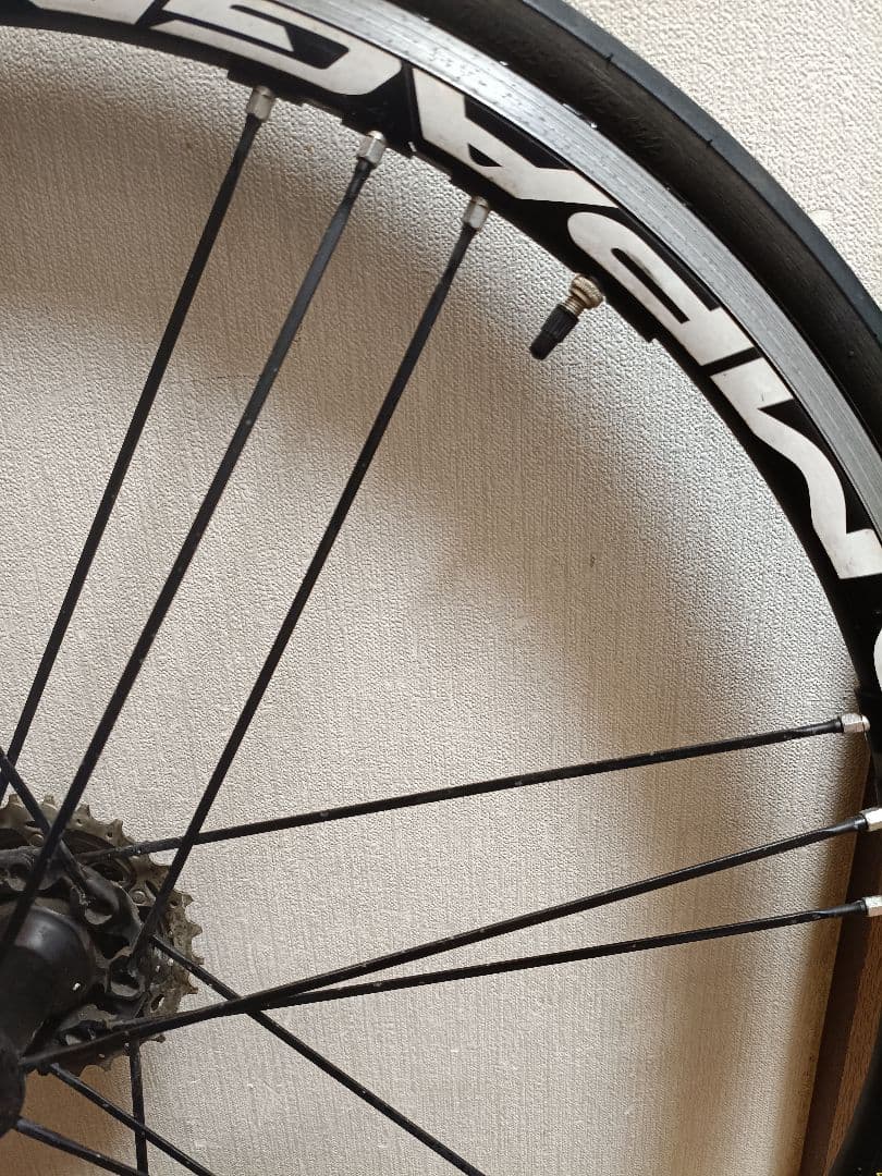 カンパニョーロ Campagnolo Eurus リアホイール 2WAY-FIT