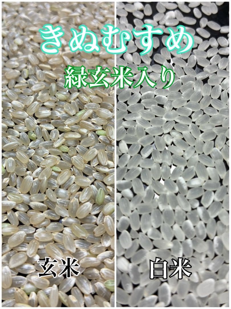 ジャック　精米