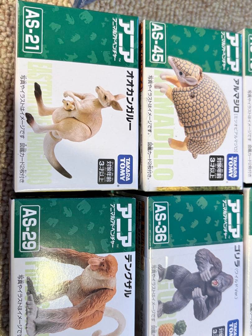 アニア　廃盤アニアセット