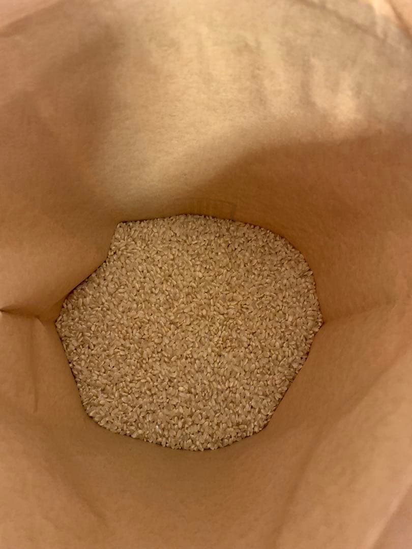 令和7年度産　新米ヒノヒカリ玄米20kg(送料込)減農薬のお米