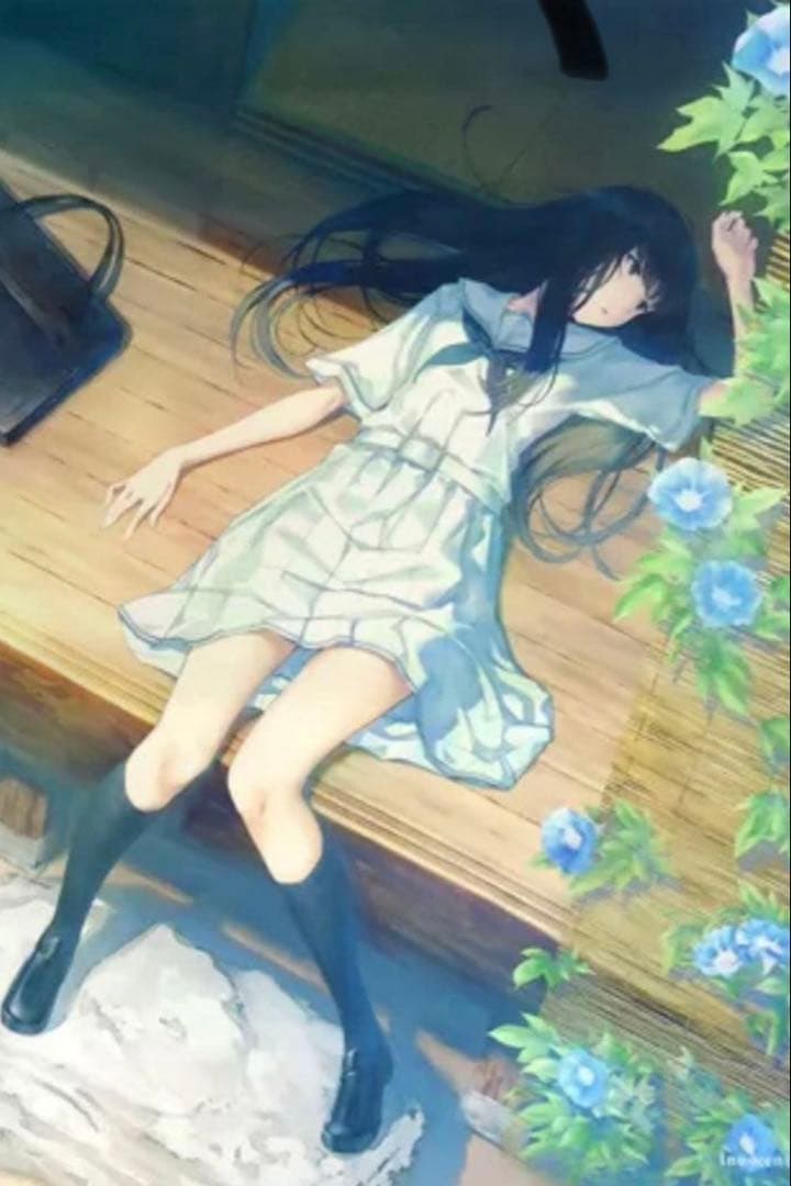 未開封 殻ノ少女 タペストリー イノセントグレイ Innocent Grey