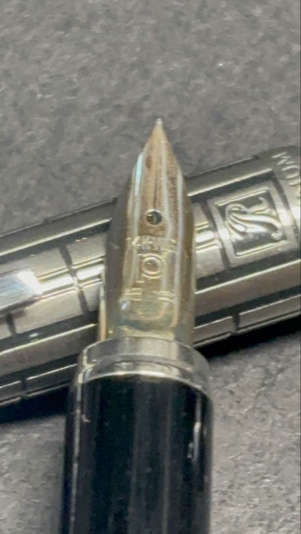 プラチナ万年筆Riviere万年筆廃盤細字18kホワイトゴールド仕上げ中字