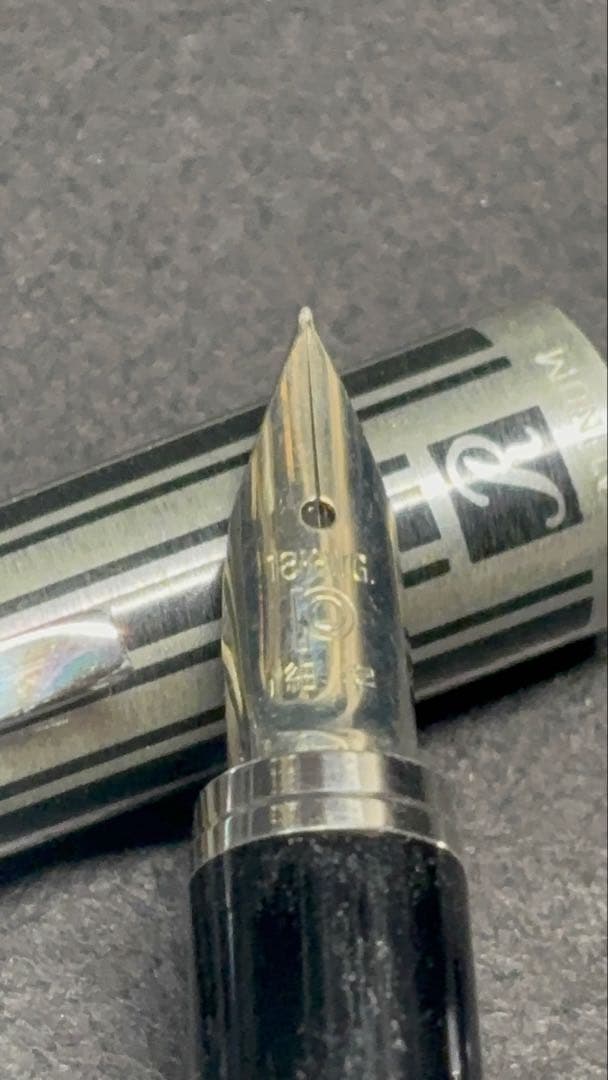 プラチナ万年筆Riviere万年筆廃盤細字18kホワイトゴールド仕上げ中字