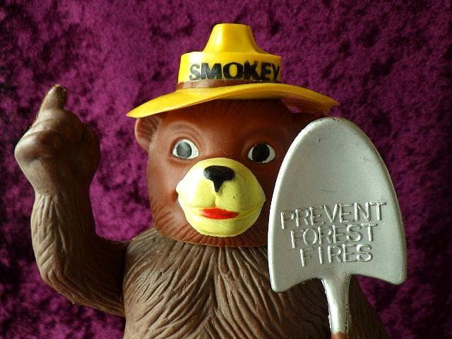 【限定値下】【1970s】Smokey Bear DAKIN ソフビ フィギュア