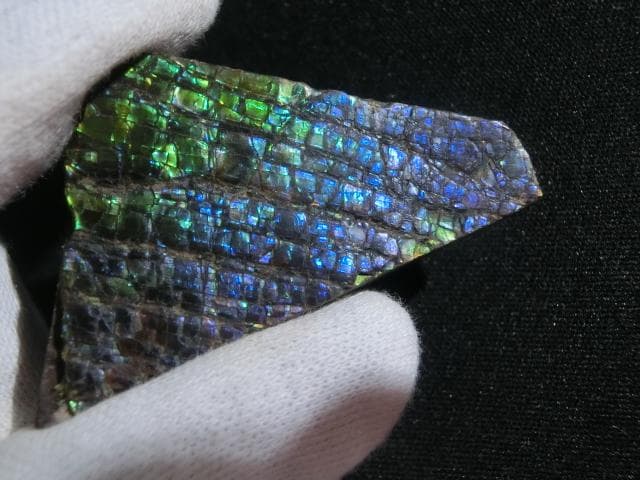 【希少】アンモライト ナチュラル ルース 幸運