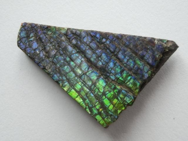 【希少】アンモライト ナチュラル ルース 幸運