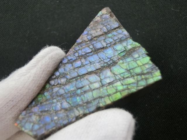 【希少】アンモライト ナチュラル ルース 幸運