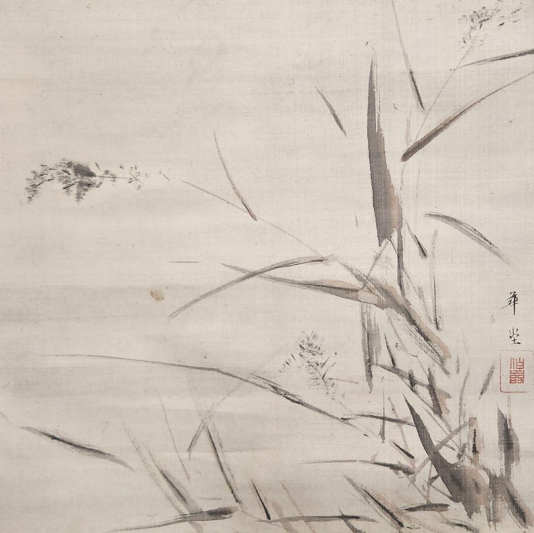 【芦雁図】喜田華堂 2616 蘆に雁 掛け軸　肉筆