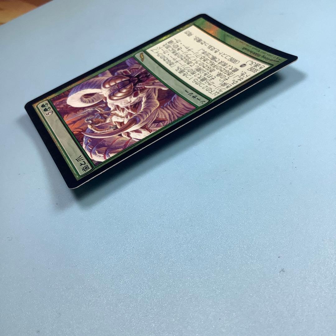 歯と爪/Tooth and Nail MRD日本語foil