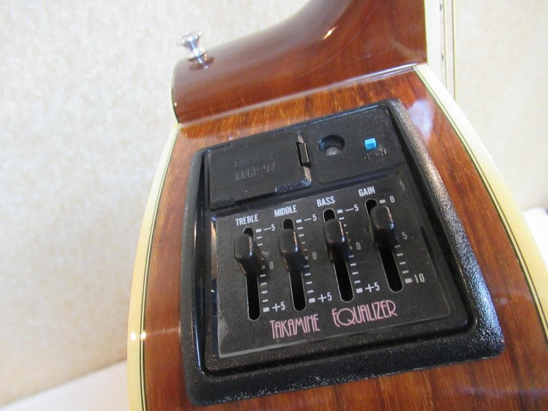 タカミネギター　EG334C　Gシリーズ　希少