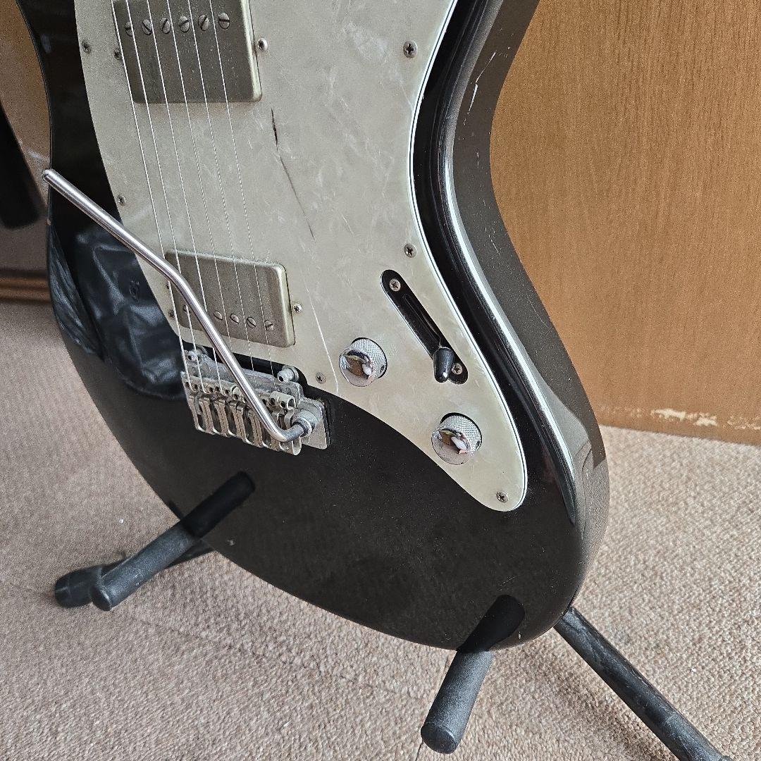 FROM JAPAN公式アカウント01Fernandes Regulus