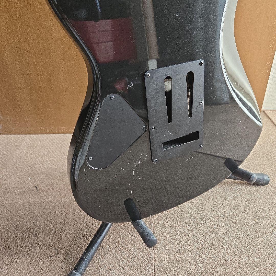 FROM JAPAN公式アカウント01Fernandes Regulus