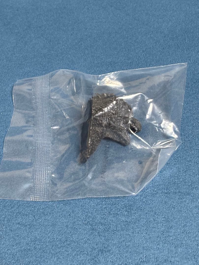 一番くじゴジラ　怪獣乱舞　-荒ぶるモノ- A賞　ラストワン賞　怪獣哮胸極　セット