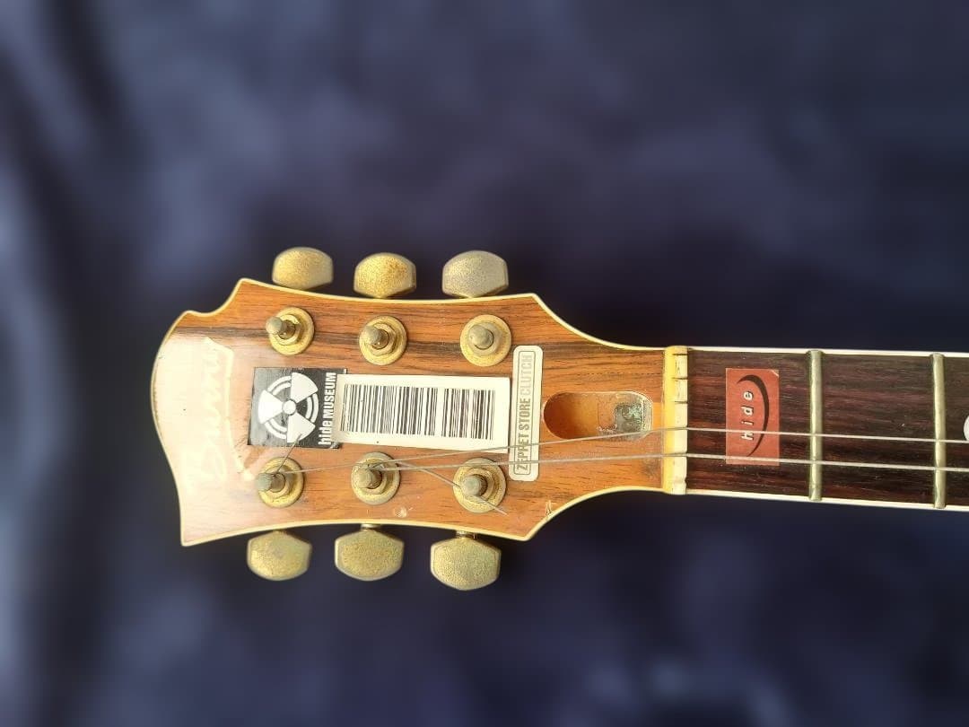 【FERNANDES】Burny MG-130S MG-145S hide