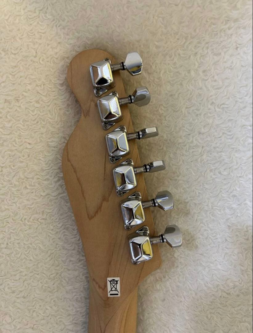 エレキギター テレキャスタータイプ　本物パイソン（ヘビ革）貼り込み