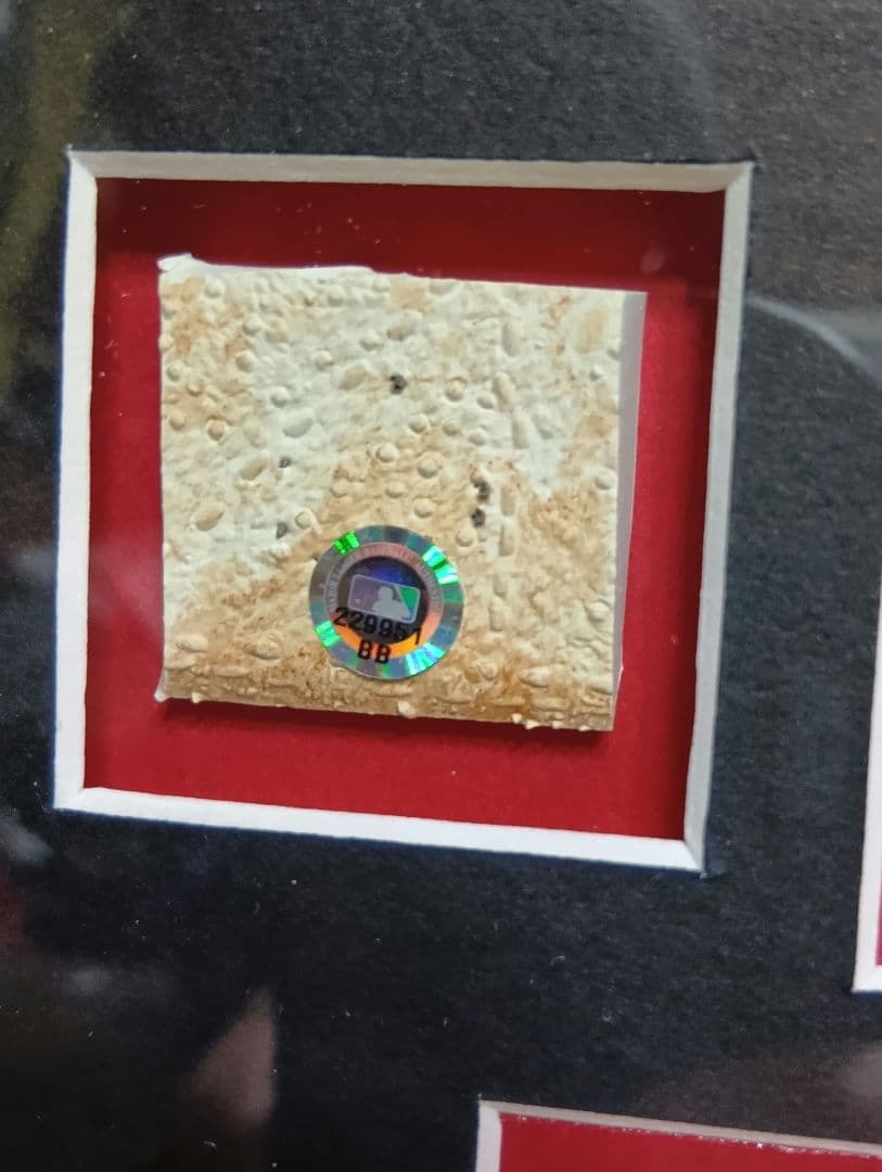 MLB フェンウェイパーク　フレーム