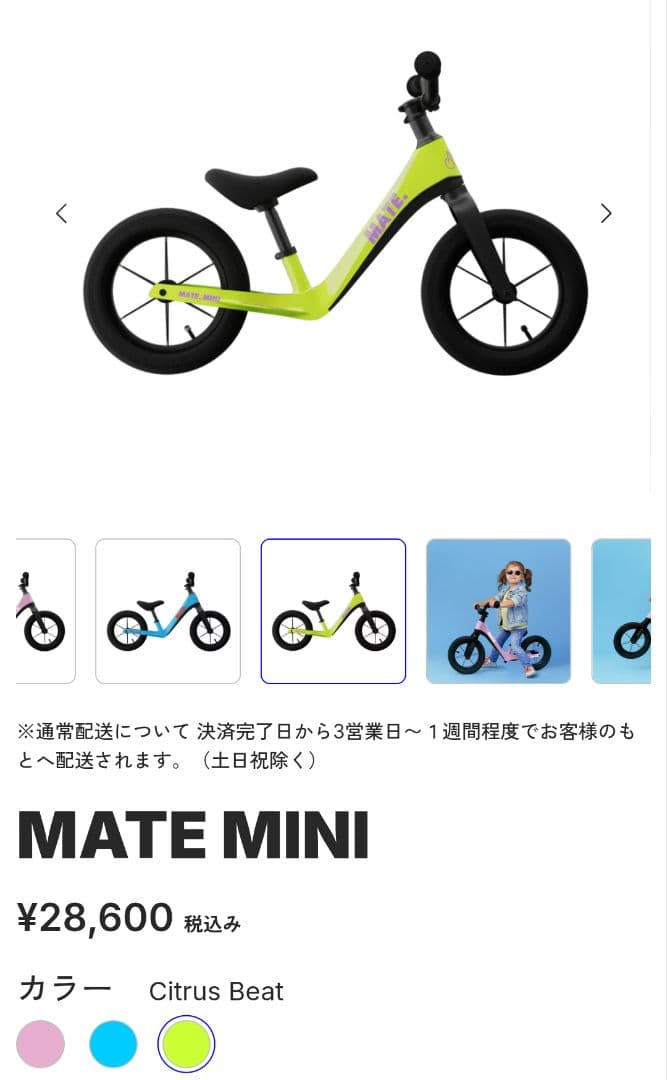 【salalaさん専用】MATE MINI Citrus Beat メイトミニ