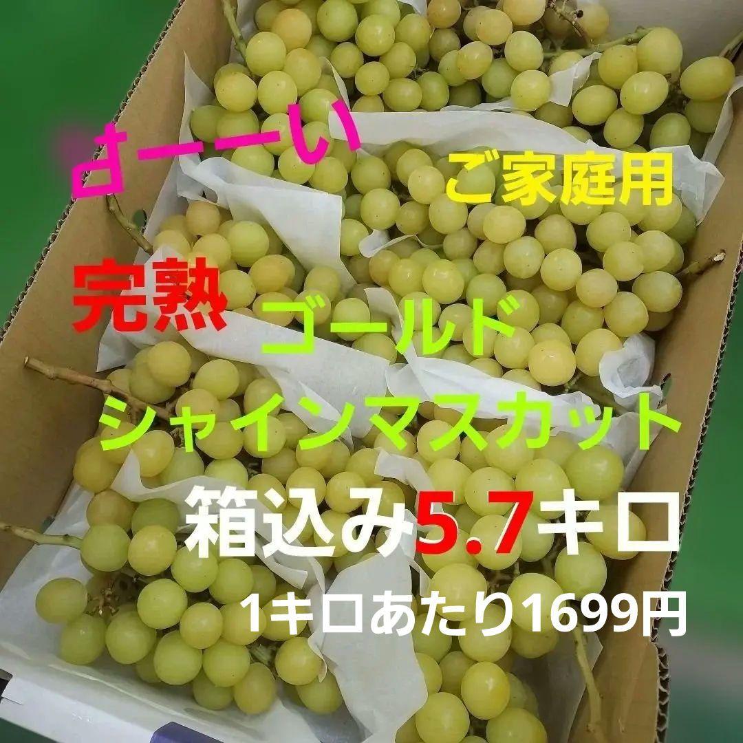 7️⃣ 山梨県産 シャインマスカット １１房入り 箱込み5.7キロ
