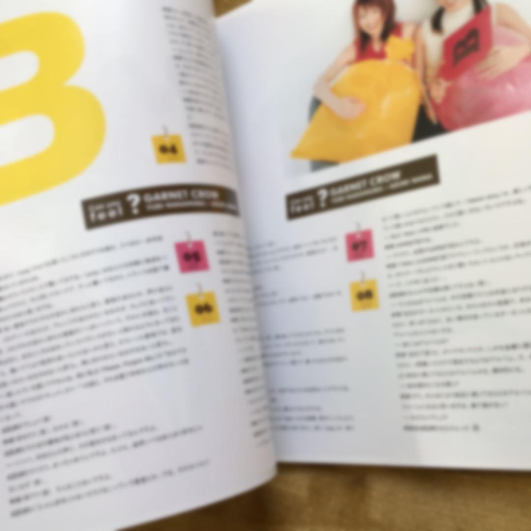 GARNET CROW(ガーネットクロウ)  表紙雑誌 3冊セット