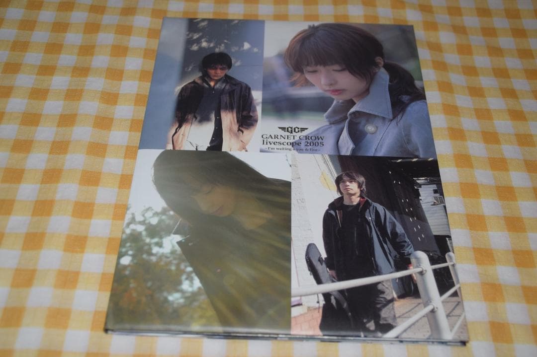 ■レア■GARNET CROW■パンフレット■livescope 2005■