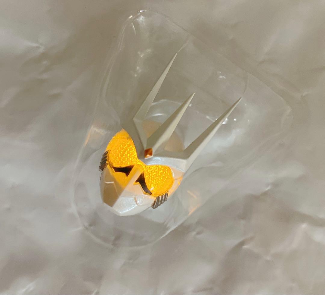 真骨頂　フィギュアーツ　仮面ライダー　エターナル　発光　ヘッドパーツ　カスタム