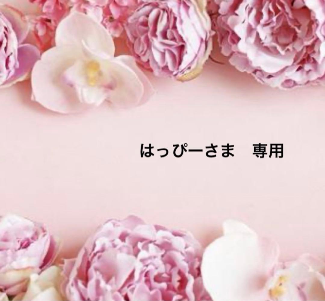 はっぴーさま専用ページです