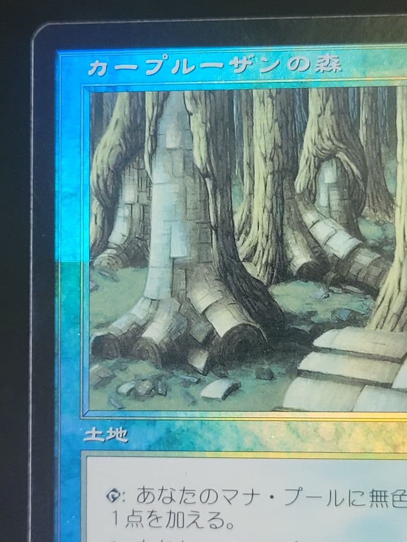 【色褪せ大】カープルーザンの森/KarplusanForest　第７版日foil