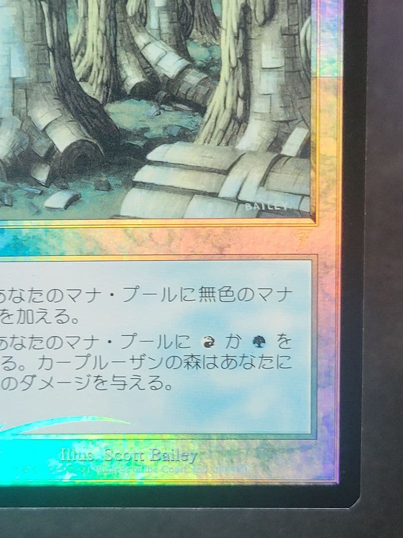 【色褪せ大】カープルーザンの森/KarplusanForest　第７版日foil