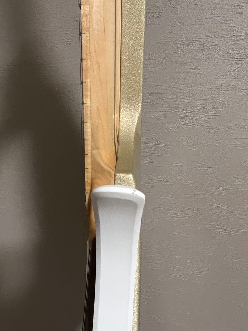 MotherPluckerGuitars 8弦 ギター　限定最終値下げ