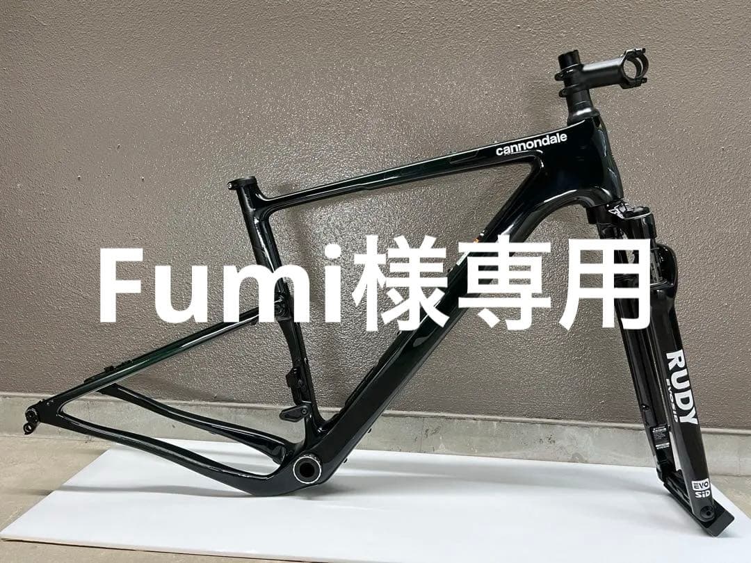 専用　キャノンデールトップストーンカーボンフレーム SMサイズ