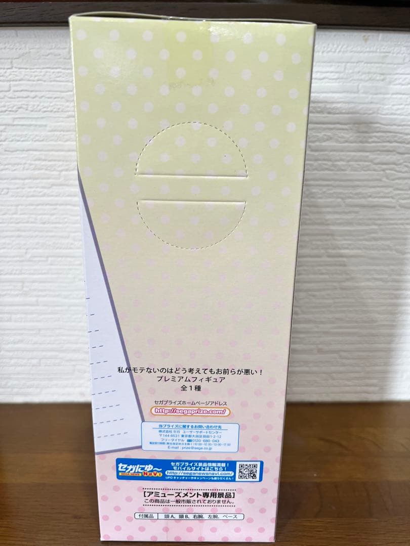 私がモテないのはどう考えてもお前が悪い！ 黒木智子 プレミアムフィギュア セガ