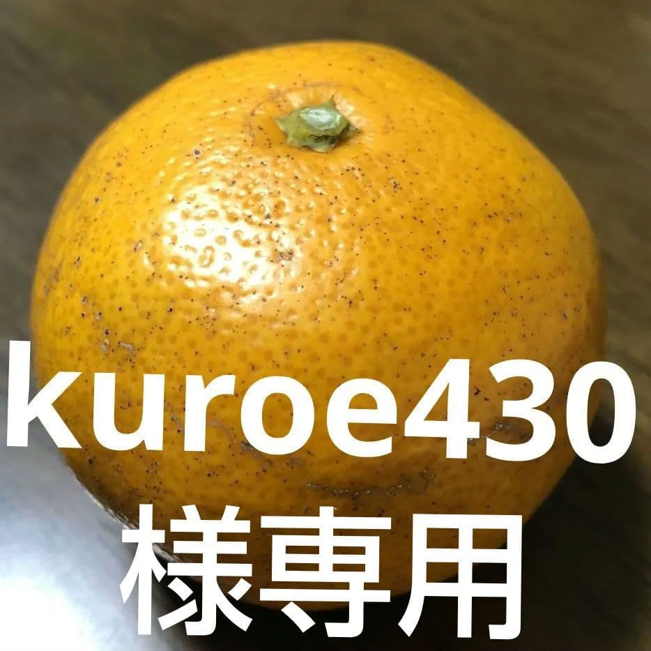 kuroe430愛媛みかん超お得S～SSサイズ10キロ×2数量限定減農薬栽