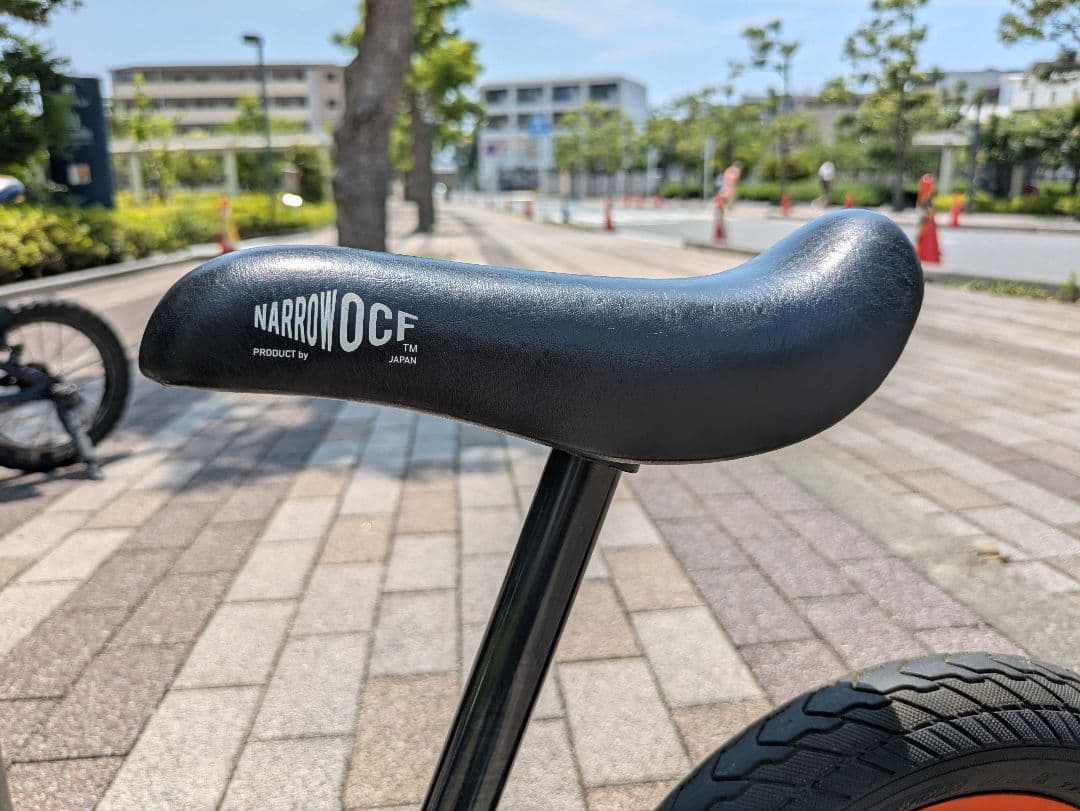 【引き取り限定】STRIDER Pro メタリックアクア　キャリーバッグ付属