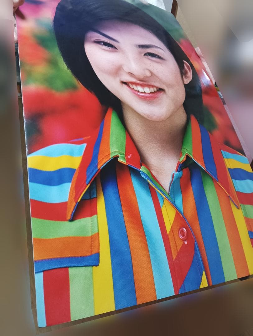 田中麗奈　フジカラー店頭パネル　56cm×90cm×0.8cm