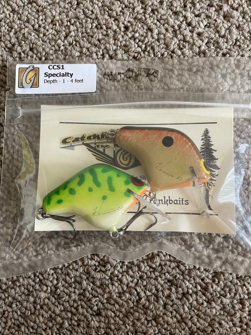 キャッチングコンセプト　CCS1