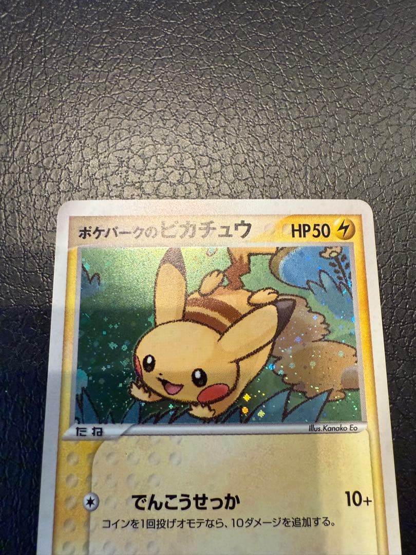 ポケモンカード　ポケパーク　プレミアムファイル