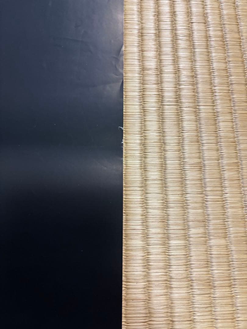 邦画　ツイン・ピークス B2ポスター