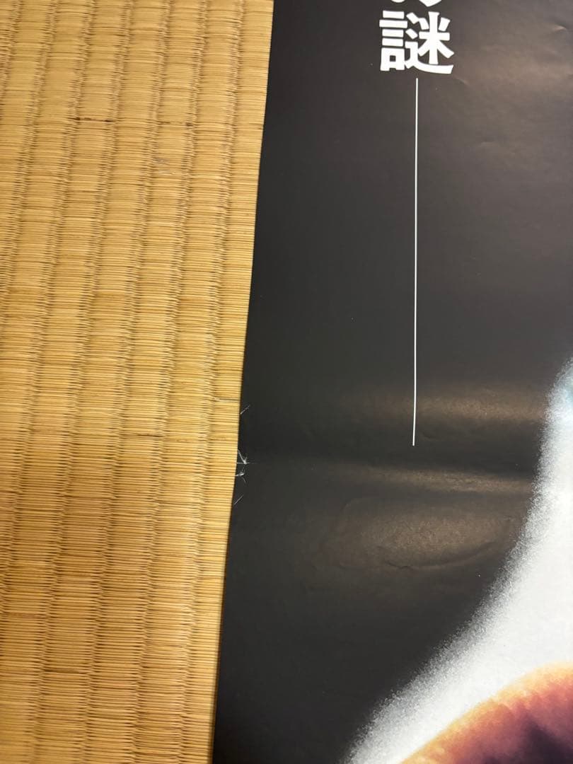 邦画　ツイン・ピークス B2ポスター