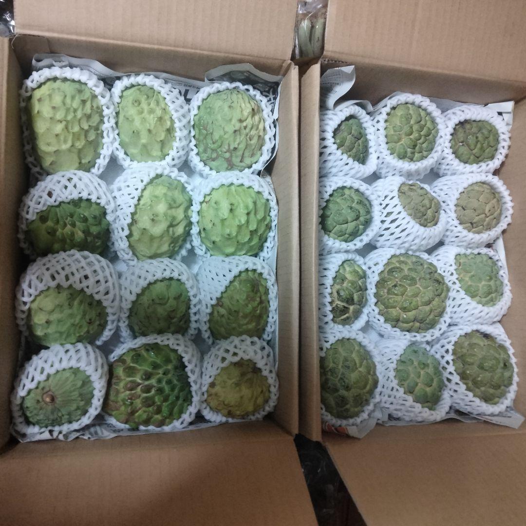 10%off沖縄県産アテモヤ3.5kg+釈迦頭３kg各Ｂ品計6.5kg【常温便①