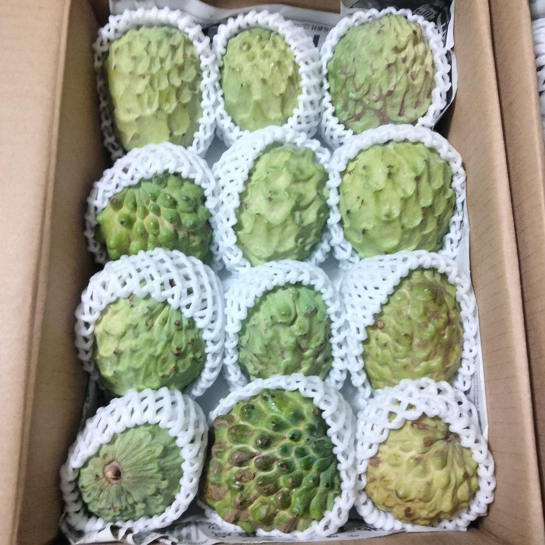 10%off沖縄県産アテモヤ3.5kg+釈迦頭３kg各Ｂ品計6.5kg【常温便①