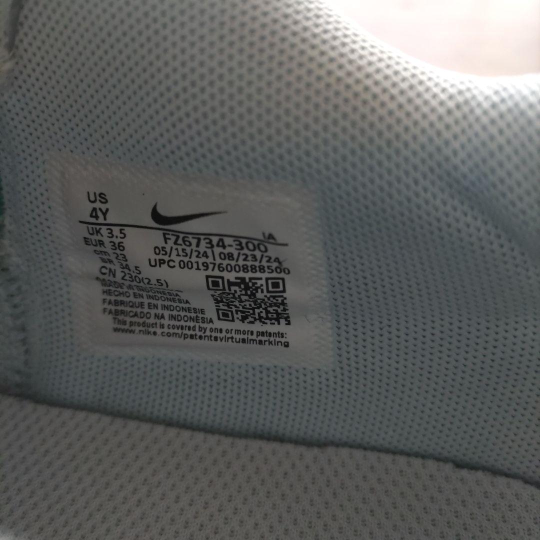 Nike バスケットボールシューズ ティール/ブルー　ヤニスイモータリティ4