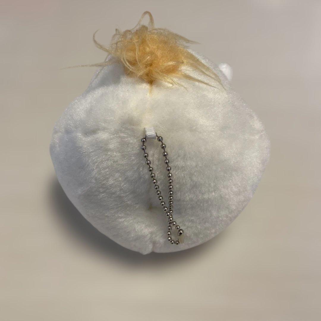 藤井風のウィンディちゃん