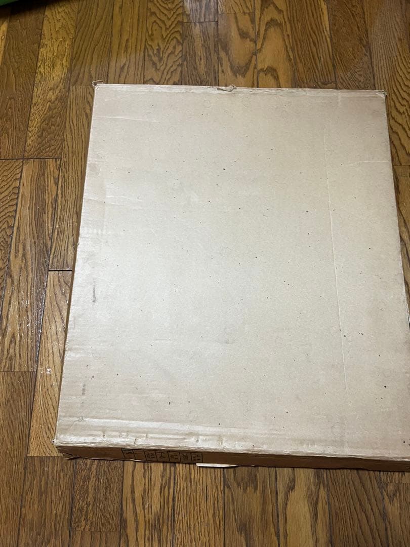 川杉雅江　水墨画