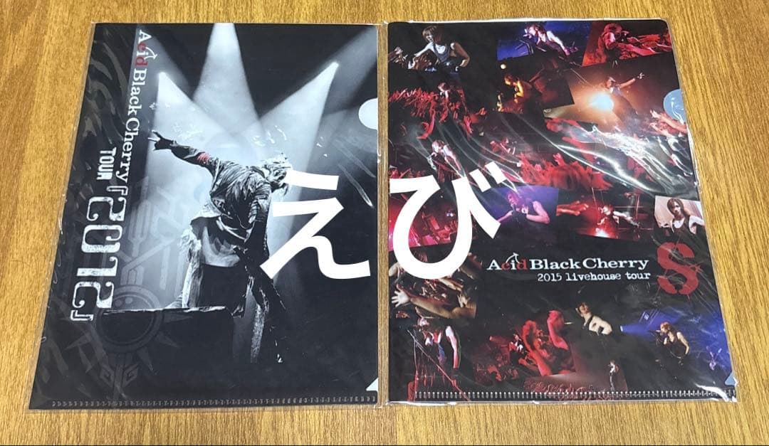 クリアファイル10枚AcidBlackCherryDAMIJAW