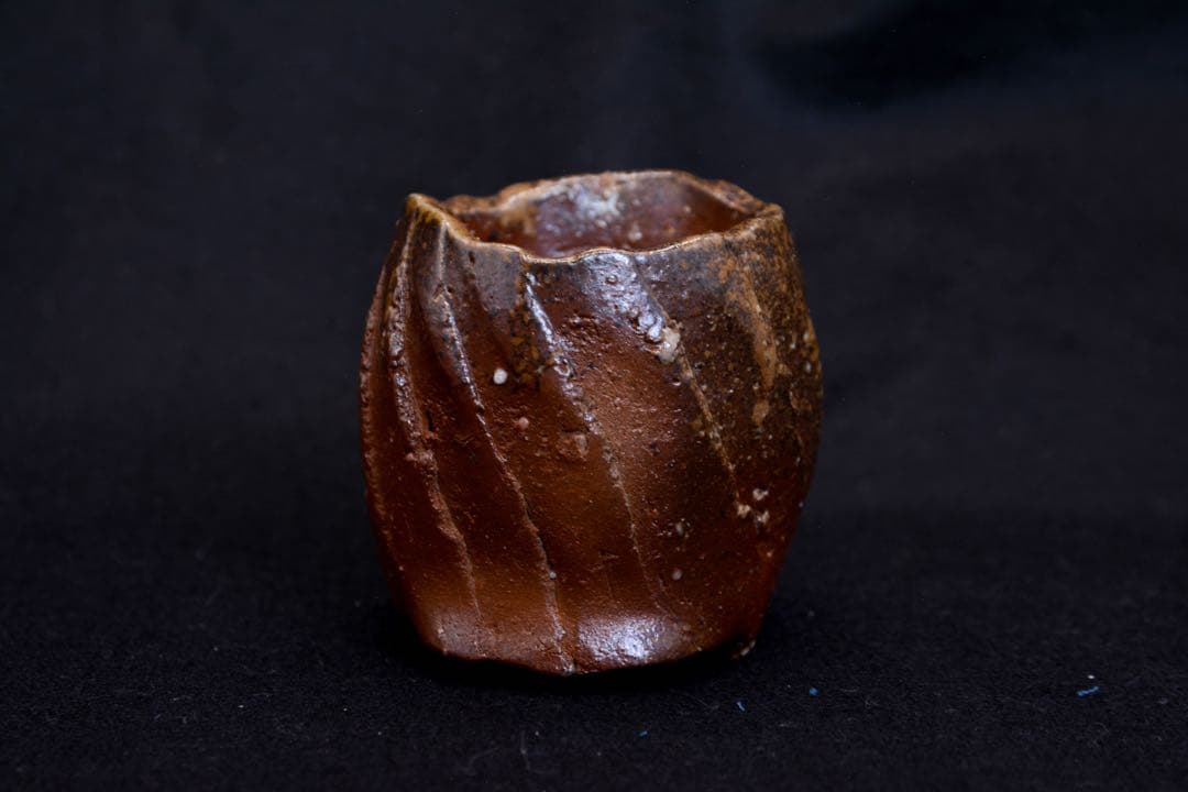 【隠崎隆一】 備前 酒呑