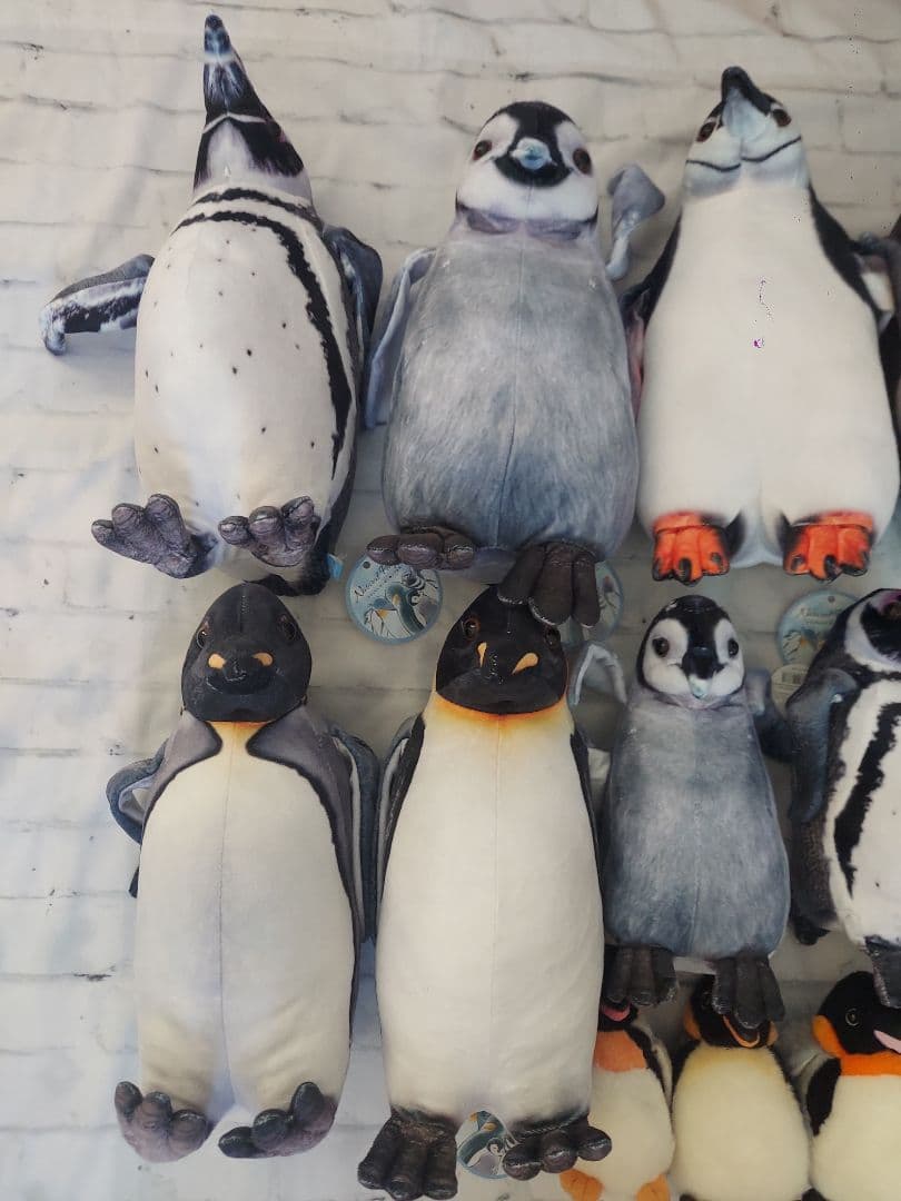 ペンギン　ぬいぐるみ　リアル　まとめ売り　セット　大量　コウペンちゃん
