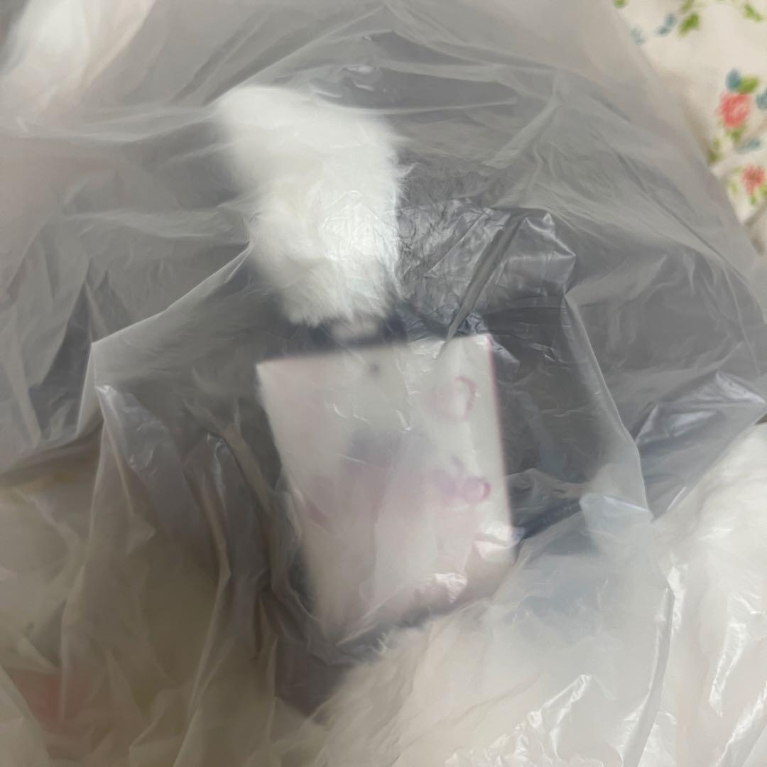 スキズ ペンミ 韓国 テディベア バンチャン ウルフチャン